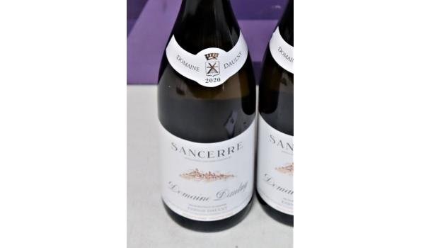 5 flessen witte wijn Sancerre DOMAINE DAULNY 2020